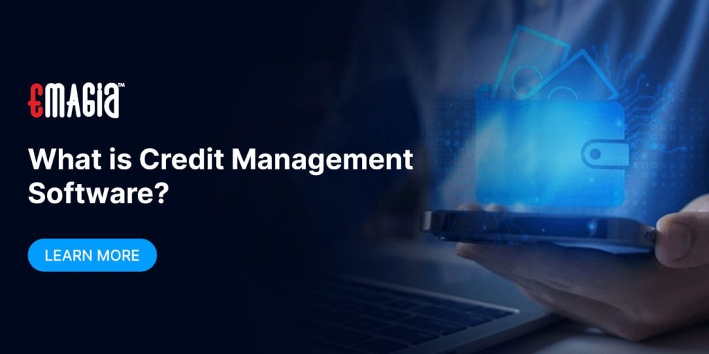 What is Credit Management Software?