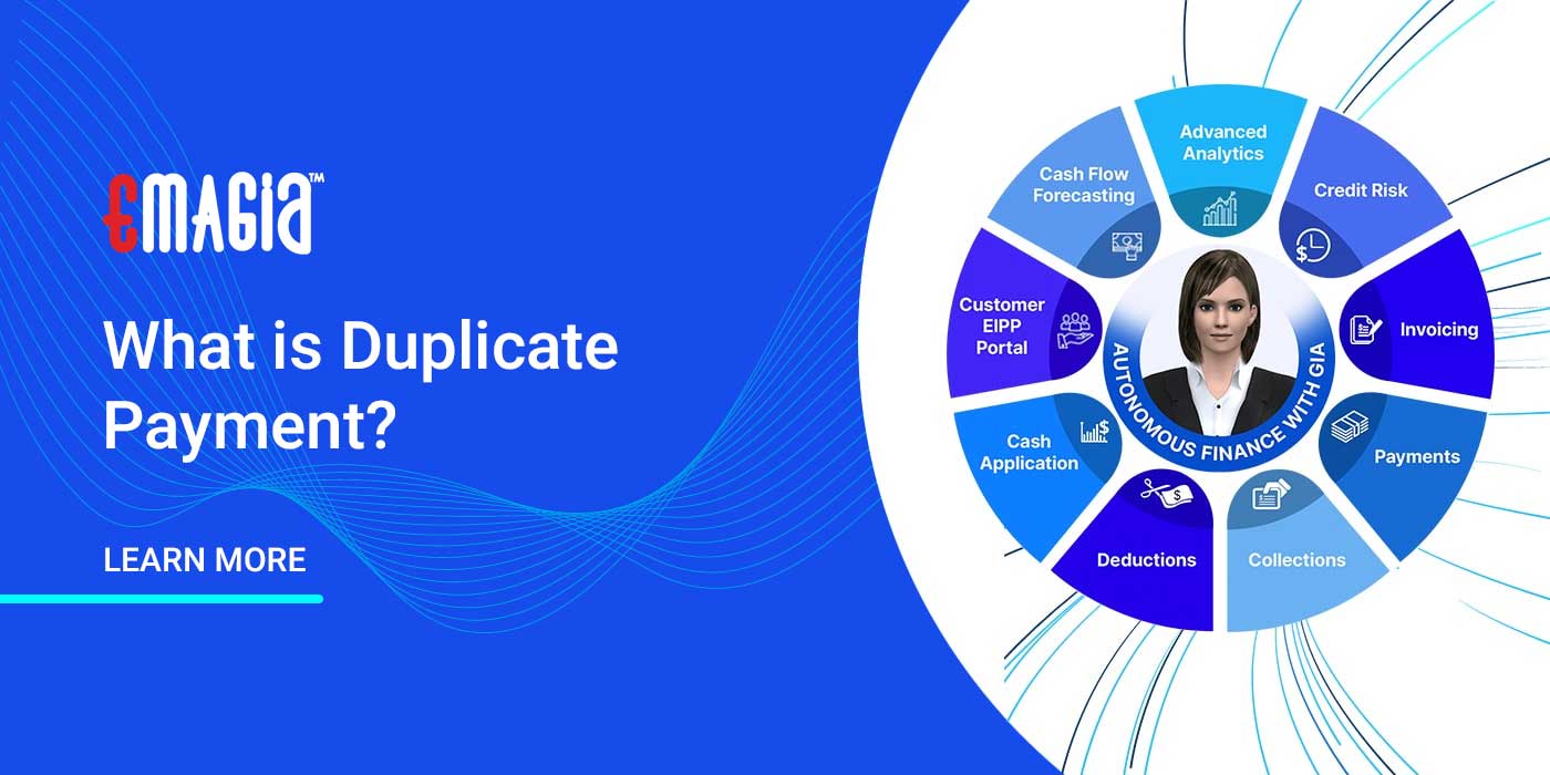 What is Duplicate Payment | Double Payment | Meaning & Definition